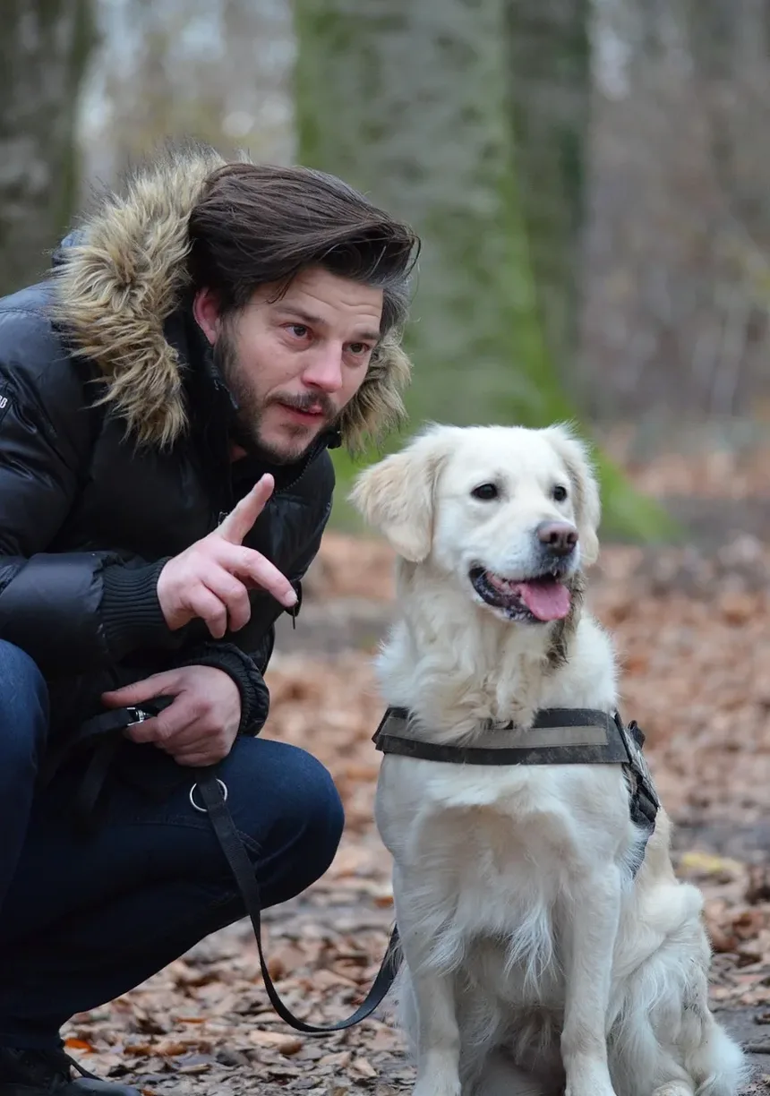 Sinais de Doença nos Olhos dos Cães: O Que Todo Dono de Cachorro Deve Saber